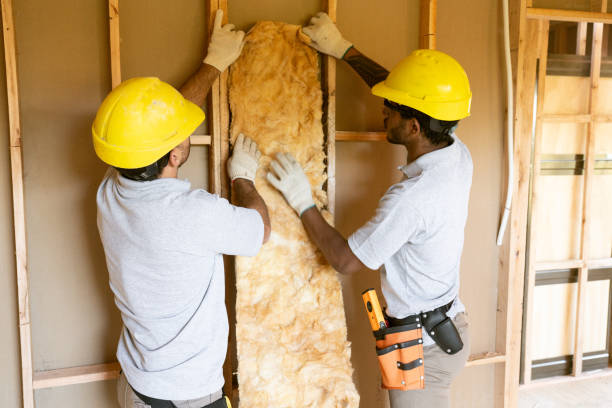 Best Spray Foam Insulation  in Bort, GA